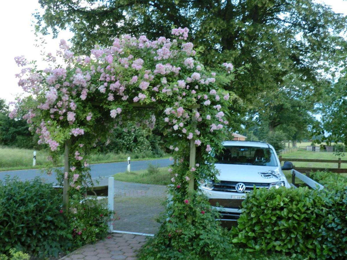 Ferienwohnung Am Sophienberg Wensin 外观 照片
